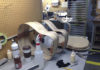 Breedlove Factory Tour